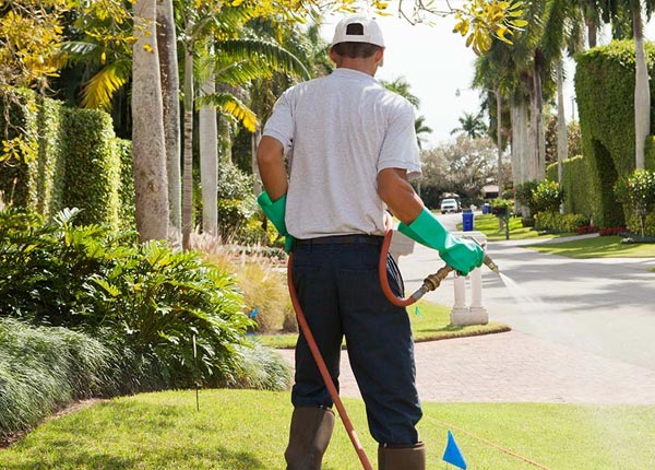 About Mc Knightstown PA Pest Control